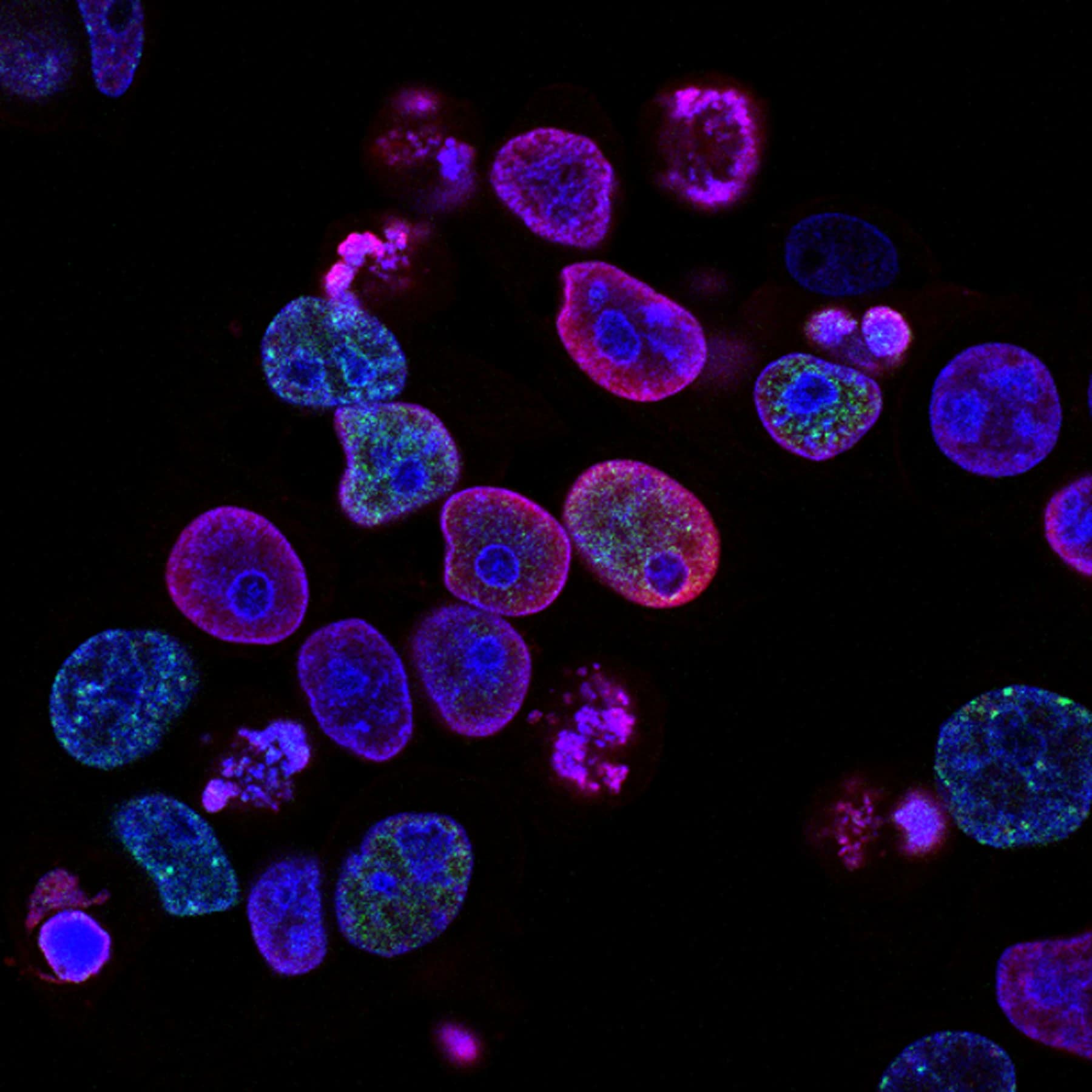 Researchers collaborating in a laboratory